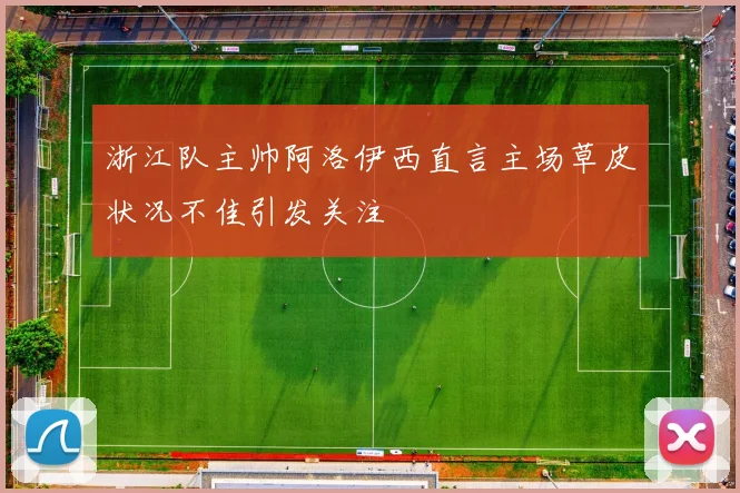 浙江队主帅阿洛伊西直言主场草皮状况不佳引发关注