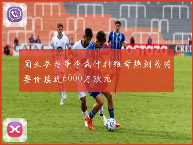 国米参与争夺武什科维奇热刺或将要价接近6000万欧元